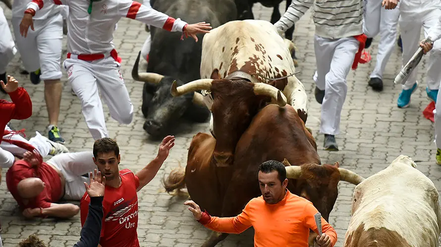 Último encierro de las fiestas de San Fermín protagonizado por Miura en la bajada al callejón. PABLO LASAOSA 12