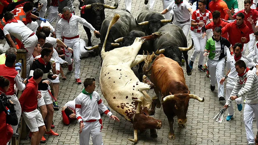 Último encierro de las fiestas de San Fermín protagonizado por Miura en la bajada al callejón. PABLO LASAOSA 09