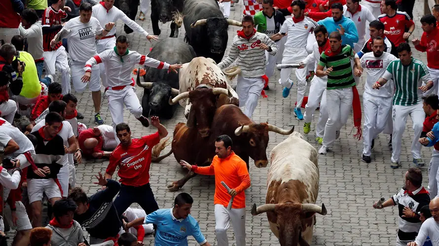 Toros de Miura en la entrada al callejón durante el último encierro de San Fermín 2016. REUTERS. Susana Vera (12)