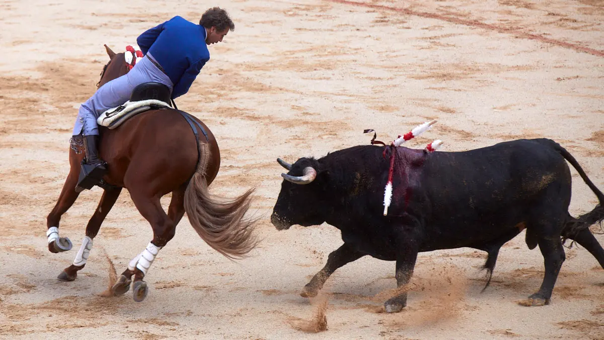 Primera corrida de la Feria del Toro de San Fermín 2022 con toros de Núñez del Cuvillo para Morante de la Puebla, El Juli y Roca Rey y un toro de El Capea para Hermoso de Mendoza en la celebración del centenario del coso pamplonés. IÑIGO ALZUGARAY