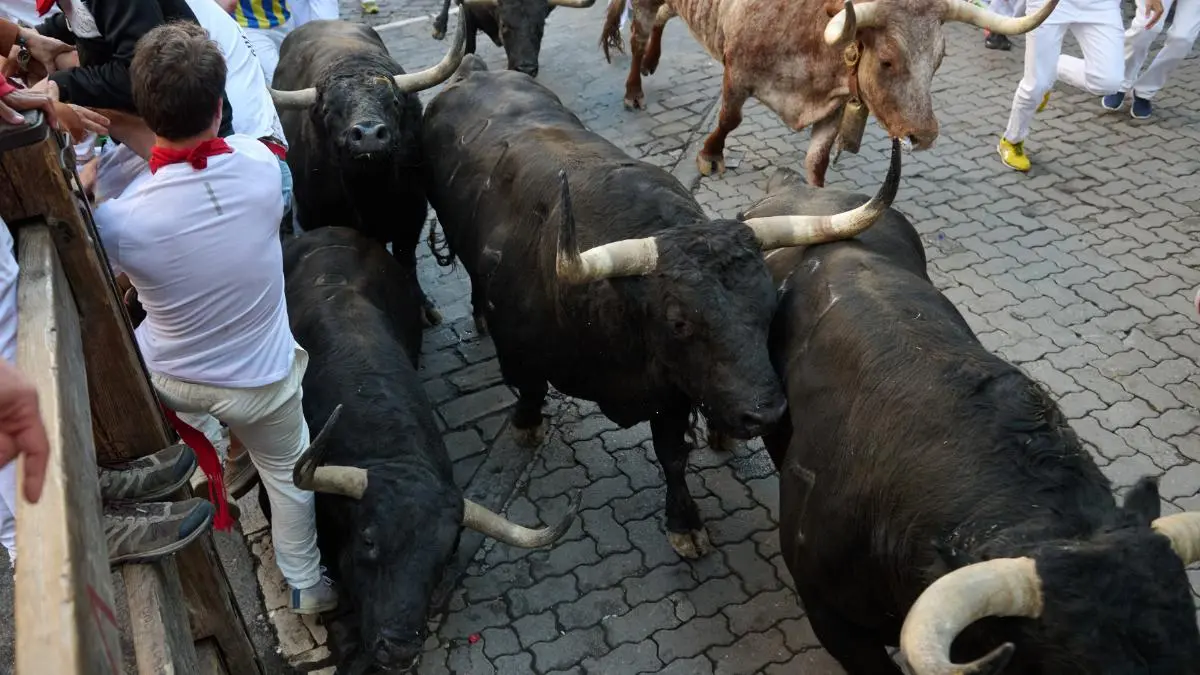 Los toros de la ganadería gaditana de Fuente Ymbro pasan por el tramo de Telefónica antes de su llegada al callejón durante el segundo encierro de los Sanfermines 2022, una carrera que se ha alargado hasta los 3:10 minutos por un toro rezagado. EFE/Daniel Fernández