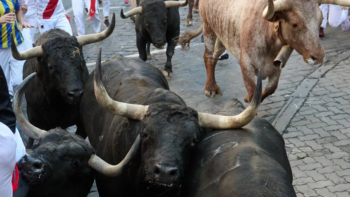 Los toros de la ganadería gaditana de Fuente Ymbro pasan por el tramo de Telefónica antes de su llegada al callejón durante el segundo encierro de los Sanfermines 2022, una carrera que se ha alargado hasta los 3:10 minutos por un toro rezagado. EFE/Daniel Fernández