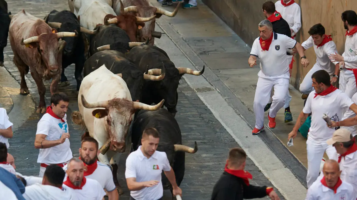 Segundo encierro de San Fermín 2022 con toros de la ganadería de Fuente Ymbro en Santo Domingo y plaza del Ayuntamiento (desde Casa Seminario). IRANZU LARRASOAÑA