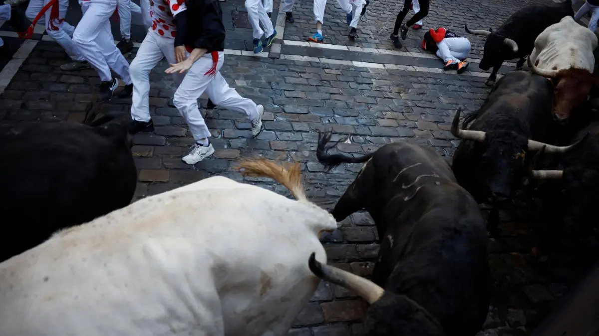 Los toros de Fuente Ymbro en la curva de Mercaderes. REUTERS. Juan Medina