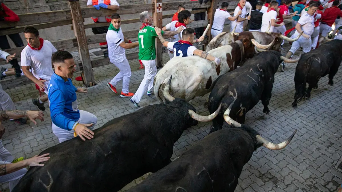 Segundo encierro de San Fermín 2022 con toros de Fuente Ymbro en la bajada del callejón de la plaza de toros. MAITE H. MATEO