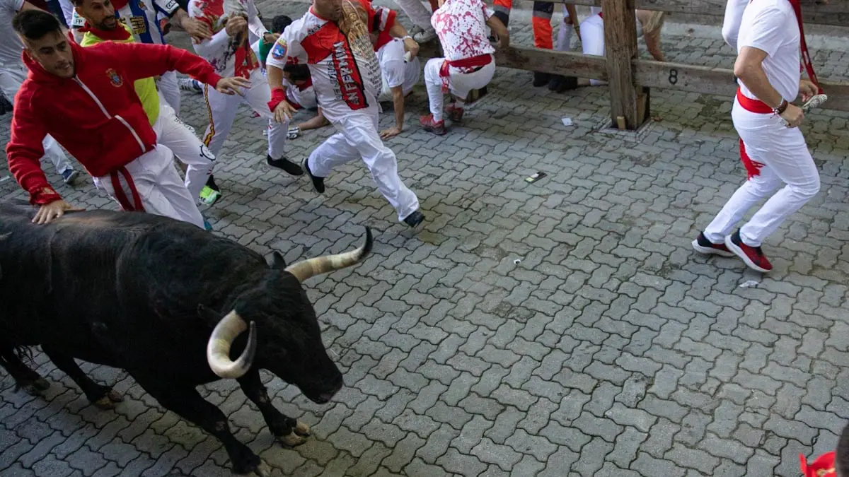 Segundo encierro de San Fermín 2022 con toros de Fuente Ymbro en la bajada del callejón de la plaza de toros. MAITE H. MATEO