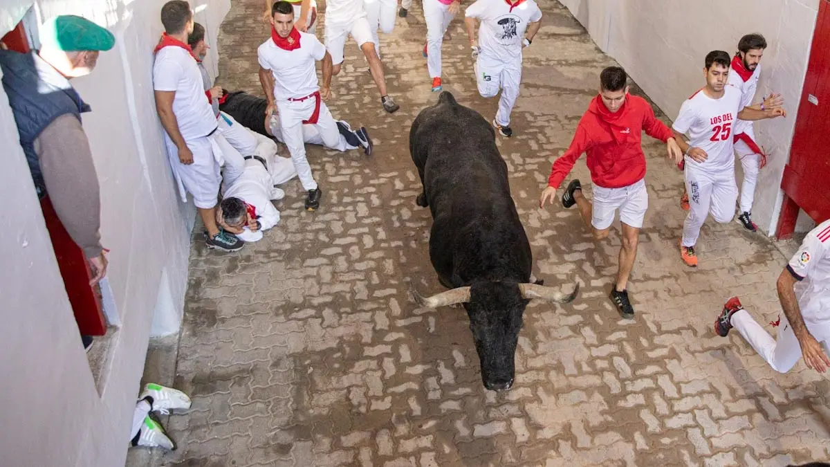 Tercer encierro de San Fermín 2022 con toros de José Escolar en el callejón de la plaza de toros. MAITE H. MATEO