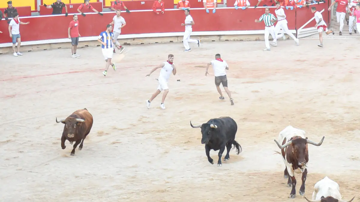 Entrada de los toros de la Ganadería Victoriano Del Río, en la Plaza de toros de Pamplona en lo que es el séptimo encierro de San Fermín 2022. IRAITZ IRIARTE.