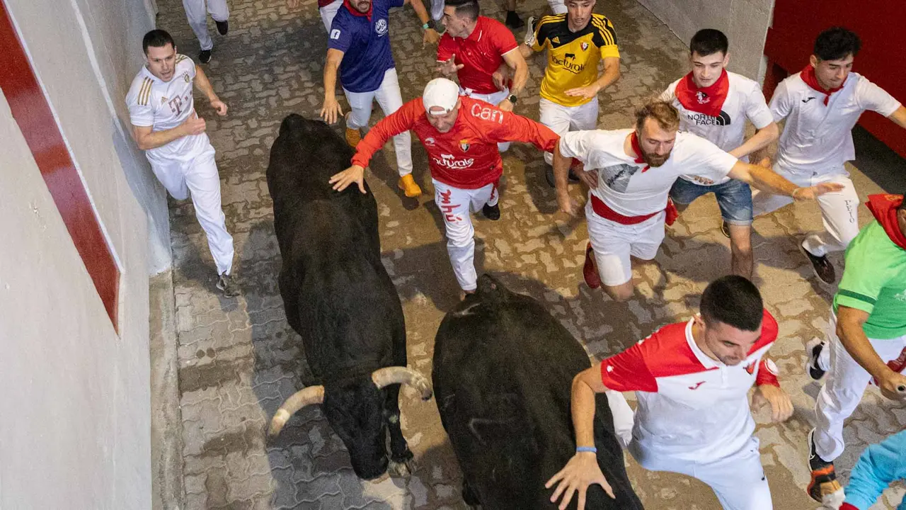 Sexto encierro de San Fermín con toros de Jandilla en callejón acceso plaza toros. MAITE H. MATEO-10